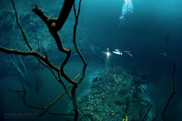 Cenote Angelita