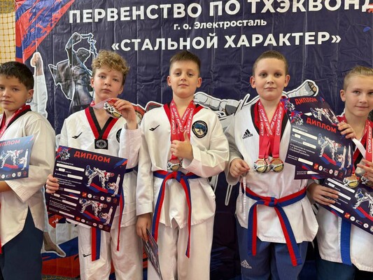 Турнир «Стальной характер» по тхэквондо