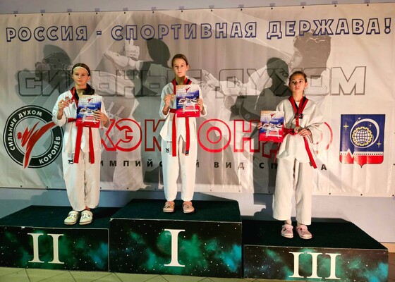 Фестиваль «Сильные духом» по тхэквондо